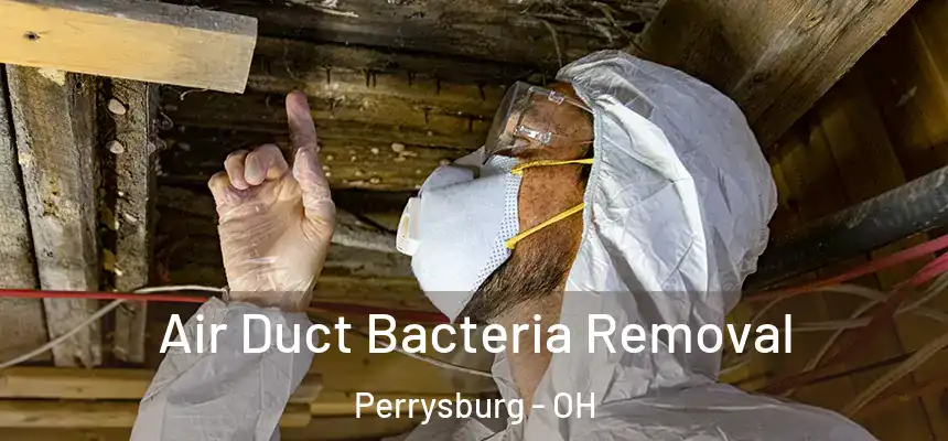  Air Duct Bacteria Removal Perrysburg - OH