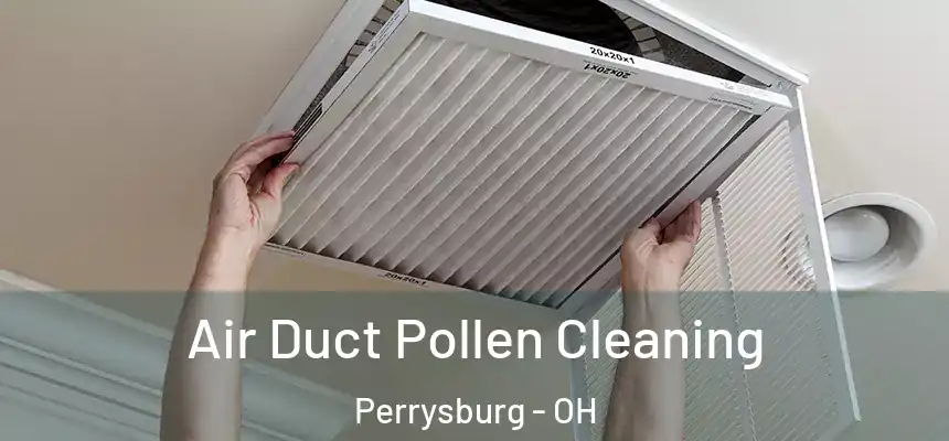  Air Duct Pollen Cleaning Perrysburg - OH