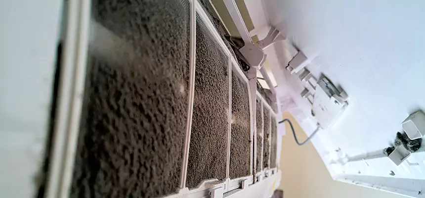 Preventive Air Duct Bacteria Removal in Perrysburg