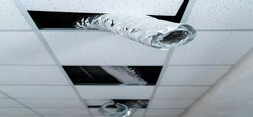 Affordable HVAC Sanitizing After Pest Removal in Perrysburg