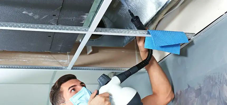 Our Air Duct Rodent Removal Services in Perrysburg, OH