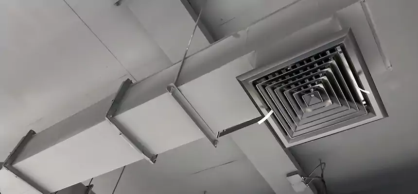 Our Rodent Droppings In Vents Services in Perrysburg, OH