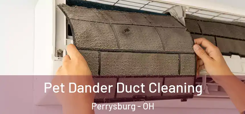  Pet Dander Duct Cleaning Perrysburg - OH