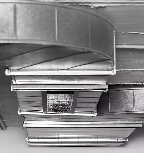 Professional Air Duct Pet Hair Removal in Perrysburg, OH