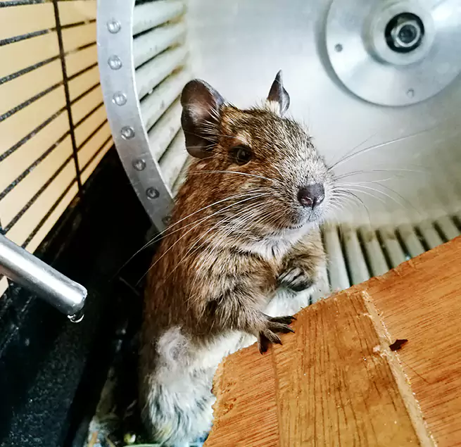 Why Homeowners & Businesses Trust Us Perrysburg, OH