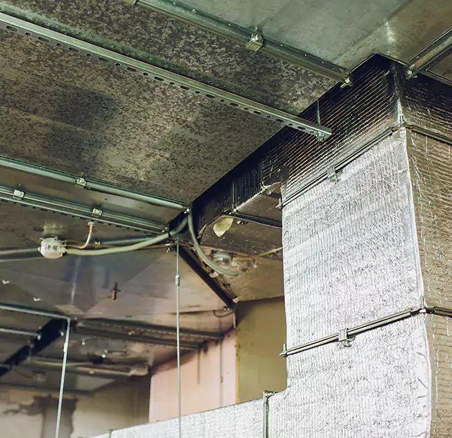 Why Homeowners & Businesses Trust Us in Perrysburg, OH?